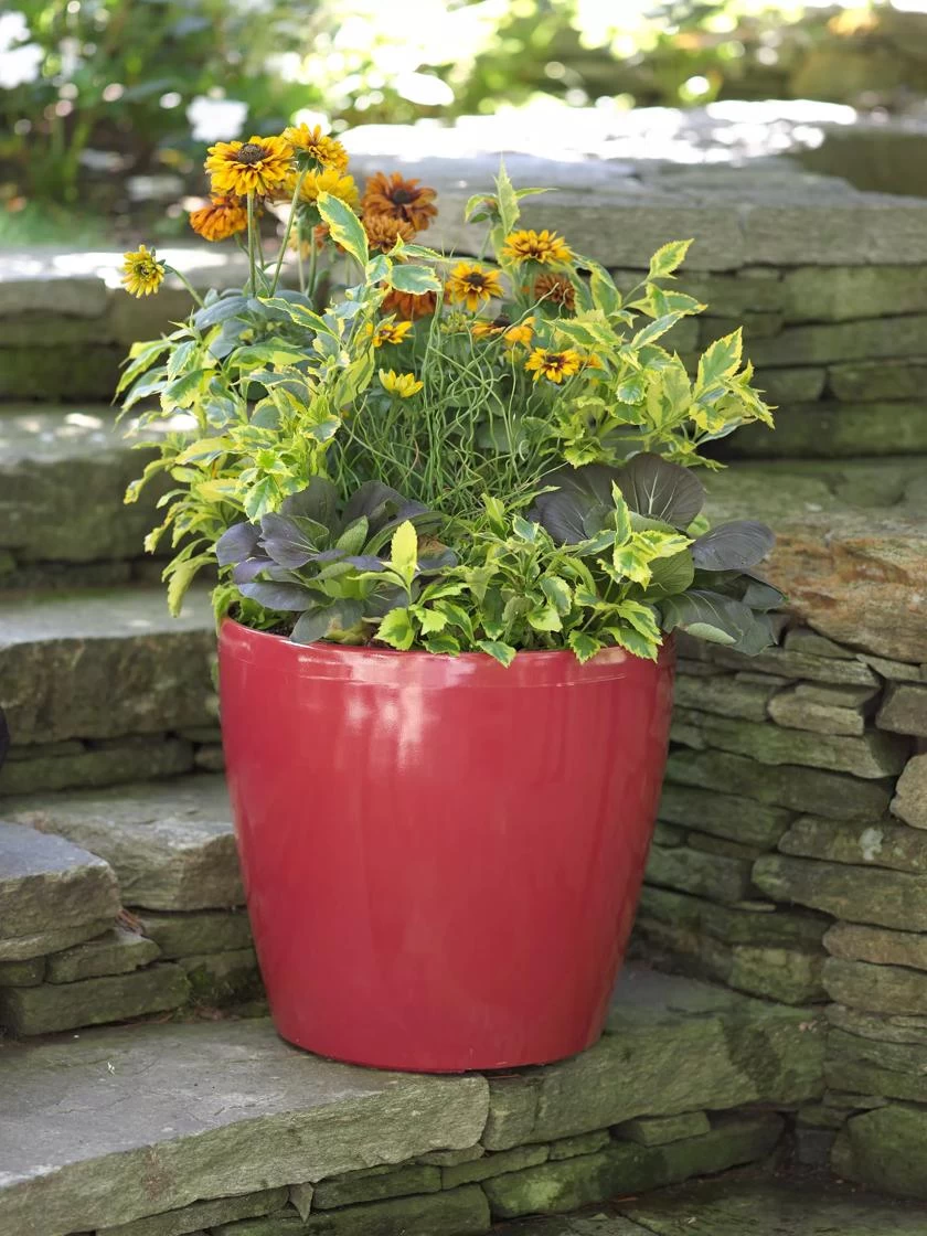 Viva Round Self-Watering Rolling Planter, 17.25” Diameter - Image 5