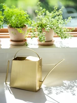 Precision Brass Watering Can