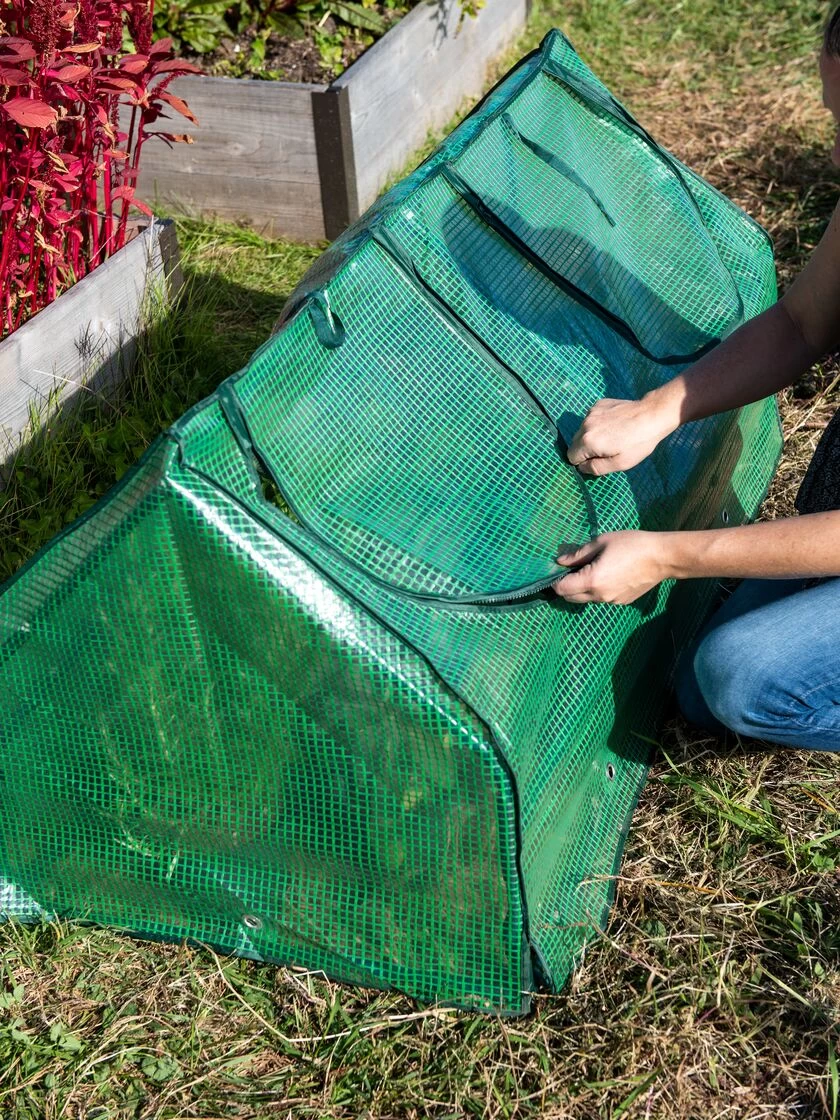 Multi Cloche - Image 3