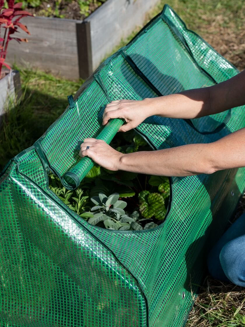 Multi Cloche - Image 5