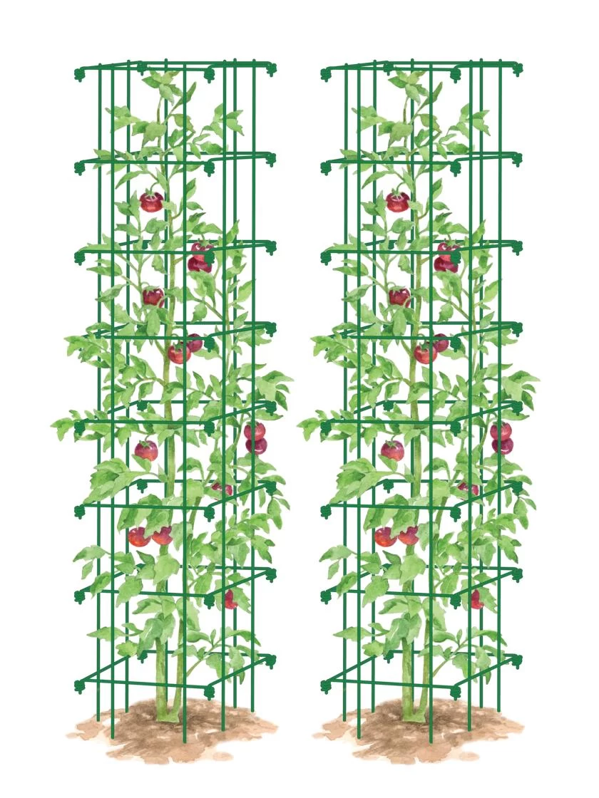 Tomato Towers, Set Of 2 - Image 4