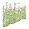 Tall Expandable Pea Trellis