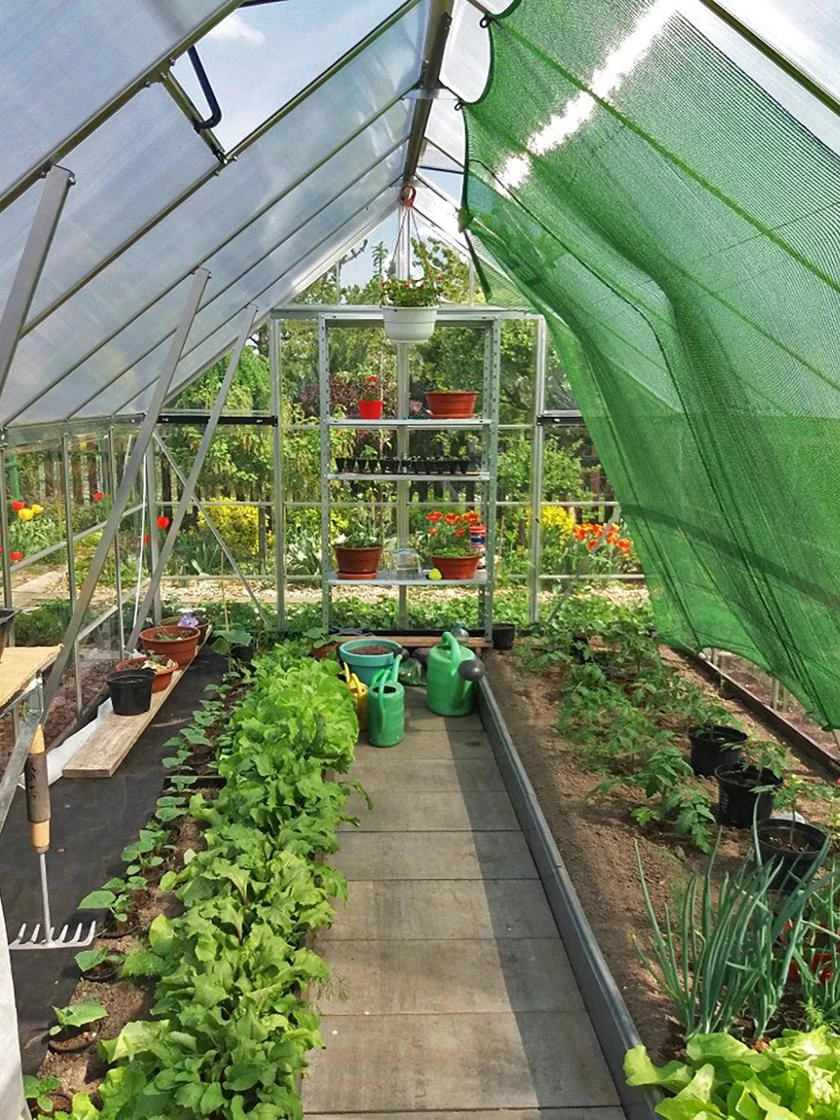 Canopia® By Palram Balance Greenhouse, 8' X 12' - Image 11