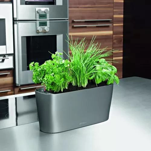 Lechuza® Delta Self-Watering Windowsill Planters - Image 5
