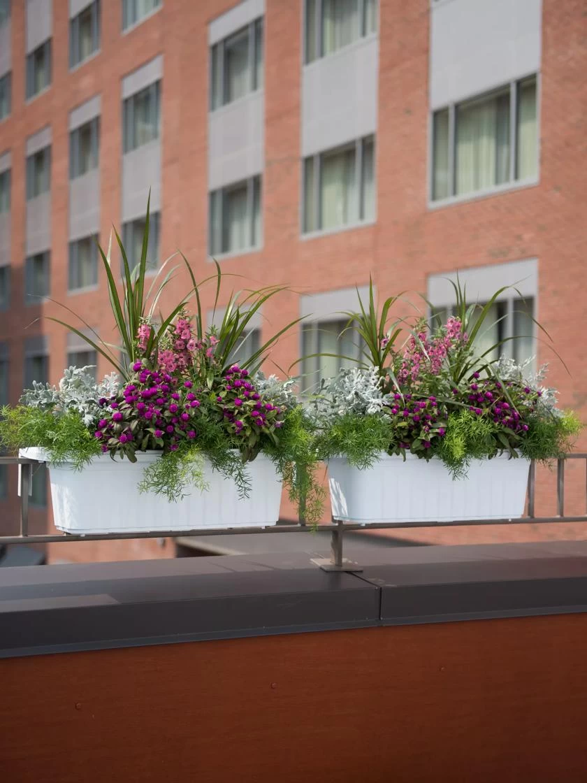 Adjustable Self-Watering Railing Planter, 24" - Image 2