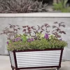 Short Galvanized Self-Watering Trough Planter
