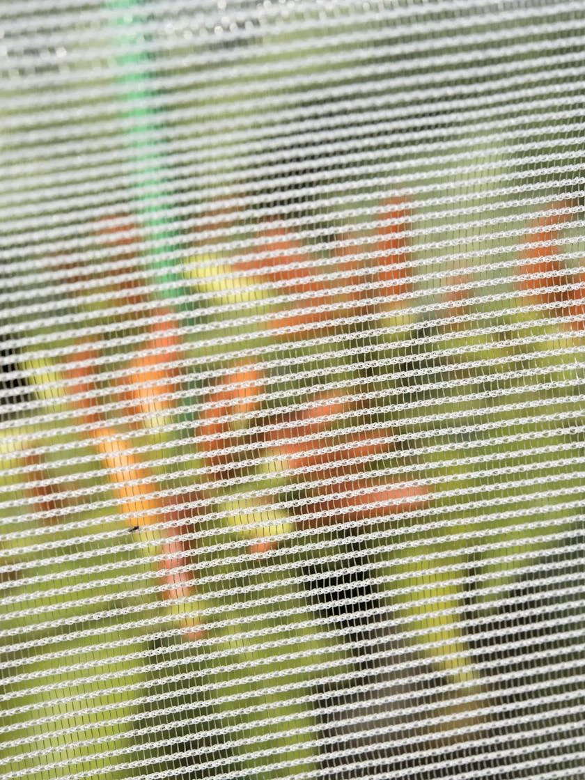 Bug Out Garden Insect Screen, 6-1/2' X 20' - Image 2