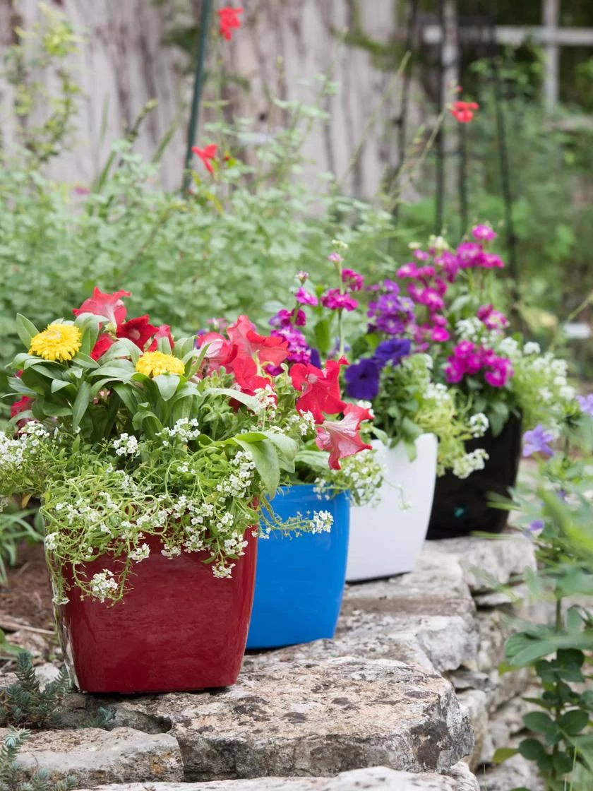 Viva Square Self-Watering Planter, 7" Diameter - Image 2