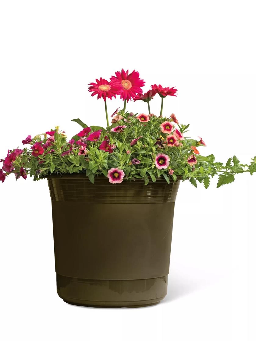 Eezy Gro Self-Watering Planters - Image 4