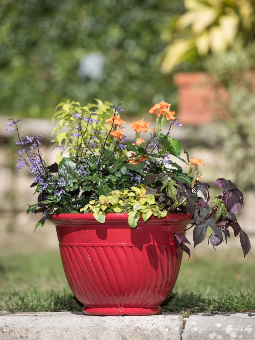 Mazzano Self-Watering Planters - Image 6