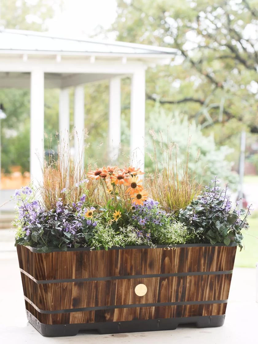 VegTrug™ Trough Planters - Image 6