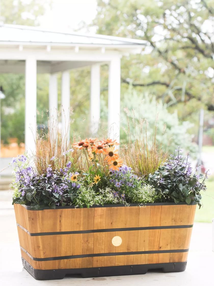 VegTrug™ Trough Planters - Image 5