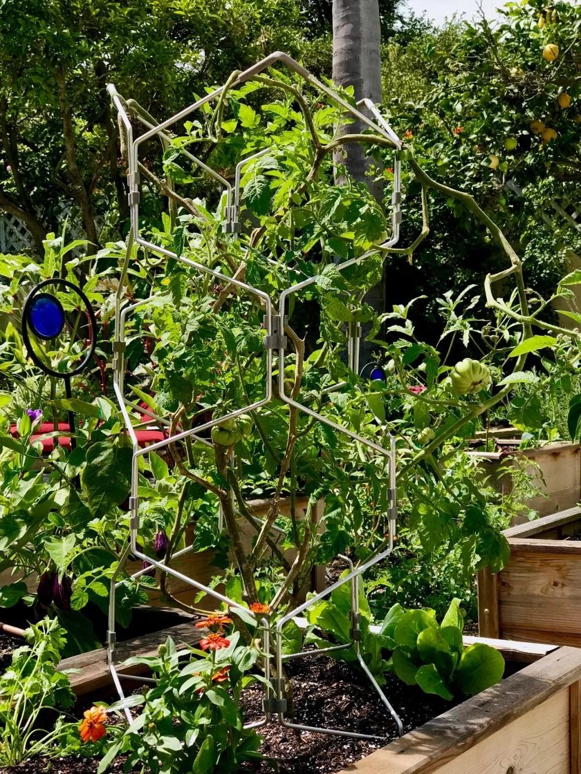 Gardener's Vertex Lifetime Pepper And Eggplant Cage - Image 4