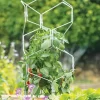 Gardener's Vertex Lifetime Pepper And Eggplant Cage