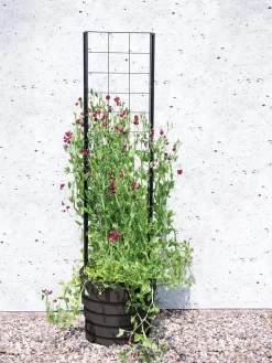 Gardener’s Victory Self-Watering Planter With Vine Trellis