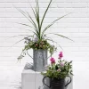 Metal Bucket Planters