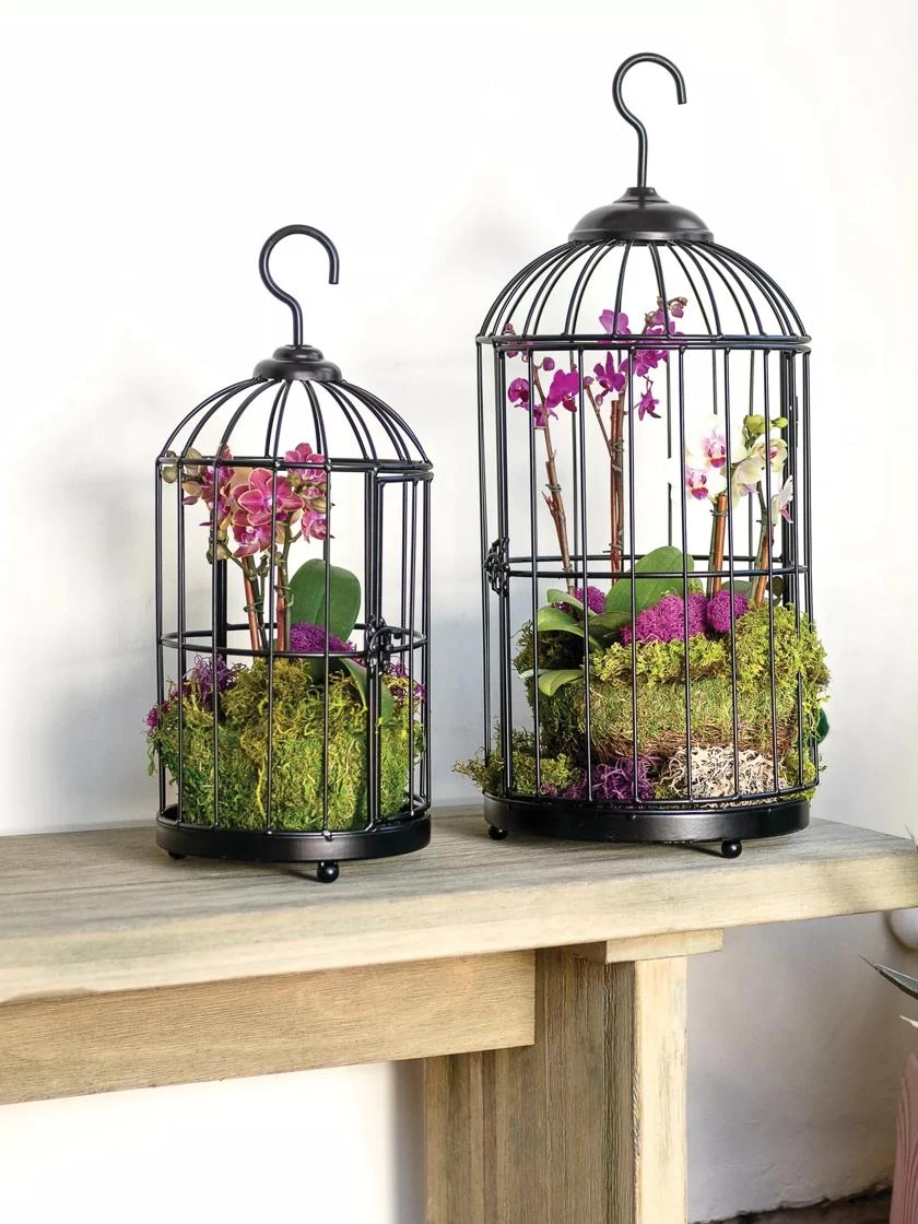 Hanging Birdcage Planter Set - Image 2