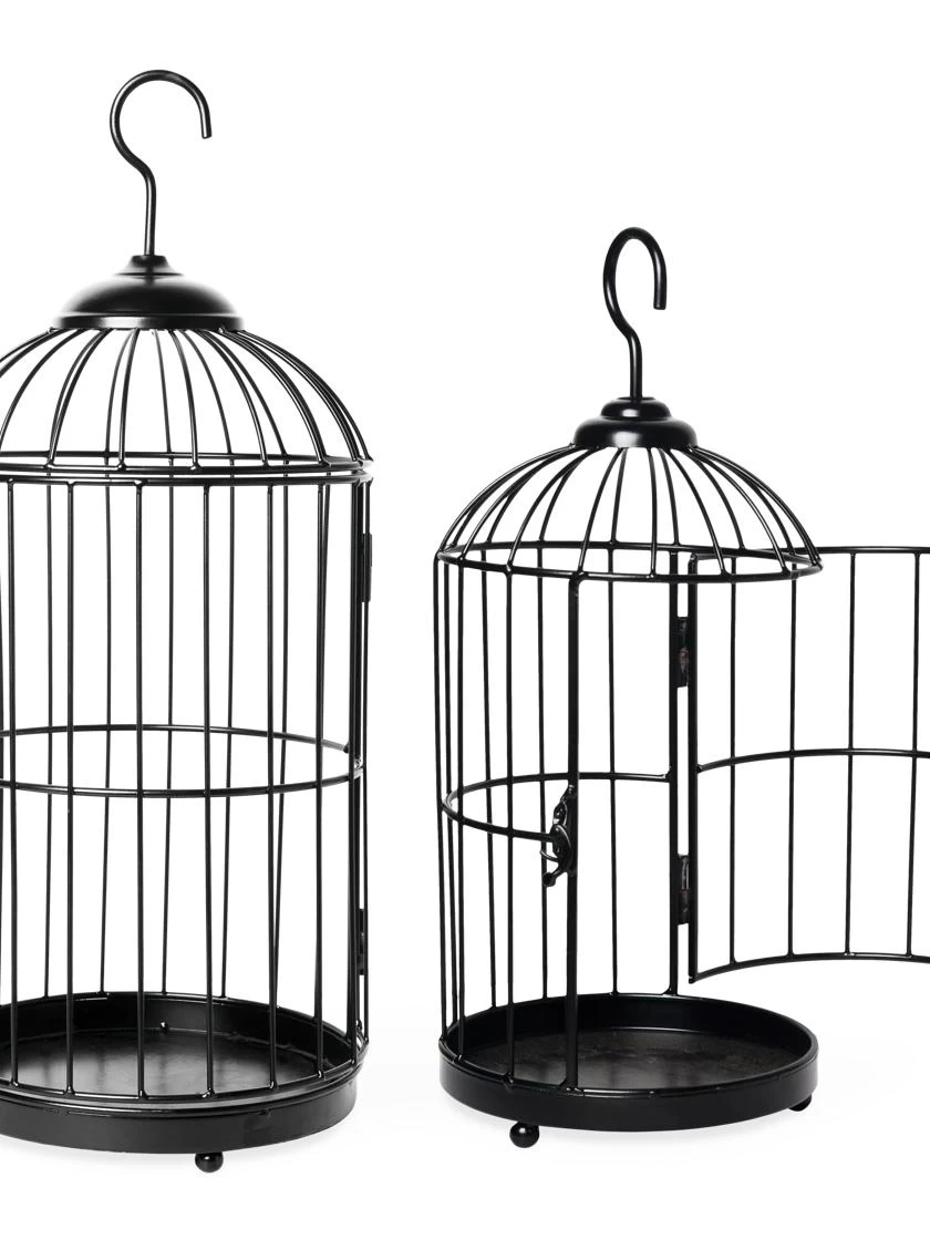 Hanging Birdcage Planter Set - Image 5