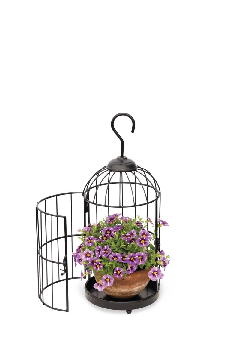 Hanging Birdcage Planter Set - Image 3