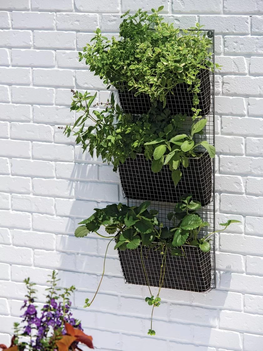 Wire Wall Pockets Vertical Gardens - Image 2