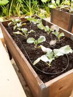 Raised Bed Drip Line Irrigation Kit