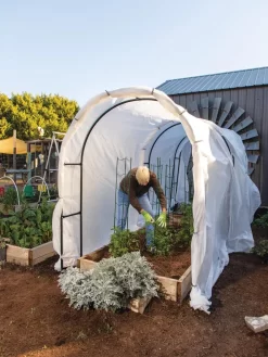 Maxi Garden Hoops With Clips