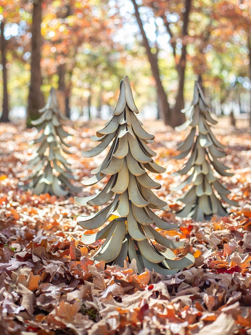 Desert Steel Blue Atlas Cedar - Image 10