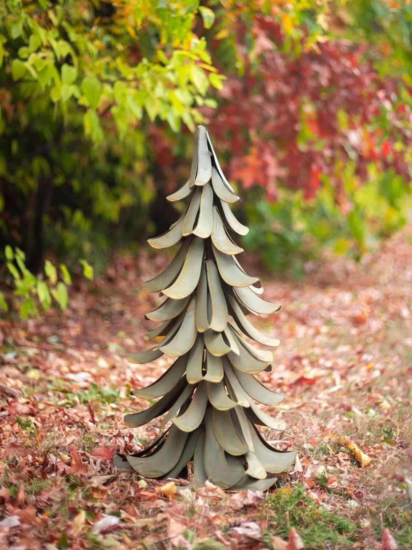 Desert Steel Blue Atlas Cedar - Image 7