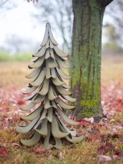 Desert Steel Blue Atlas Cedar