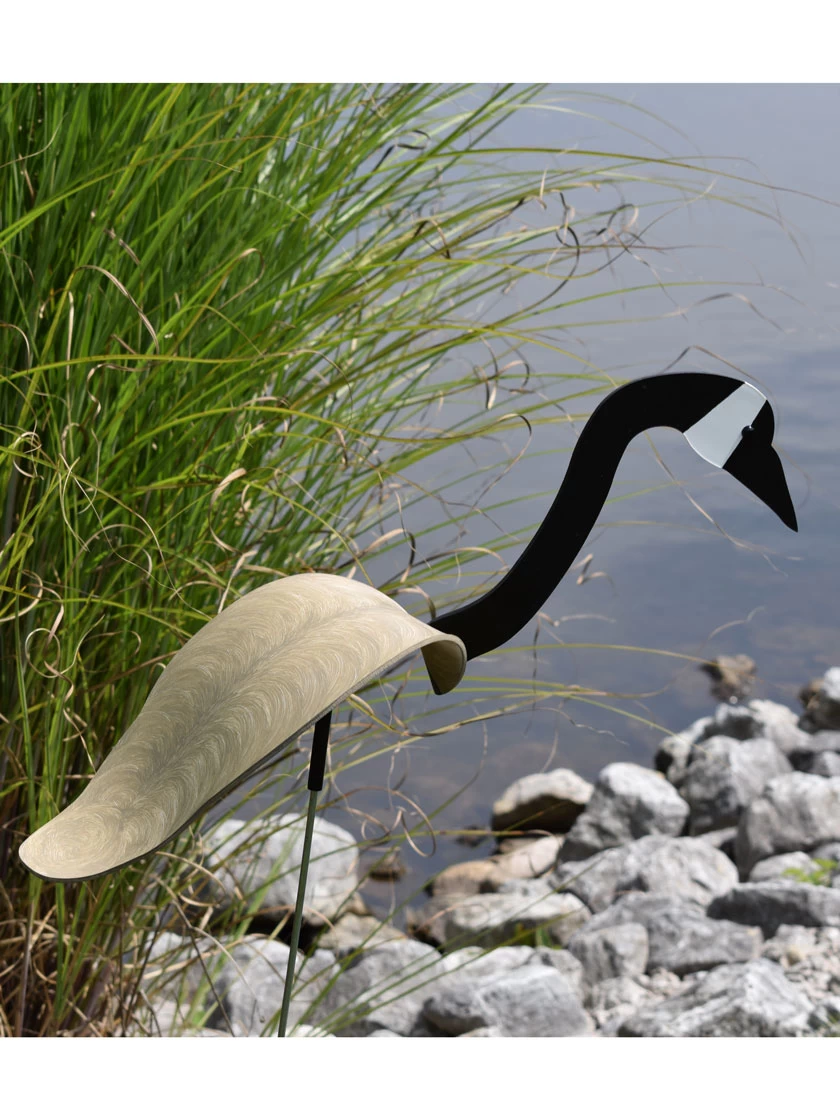 Florida Dancing Birds®, Canada Goose - Image 2