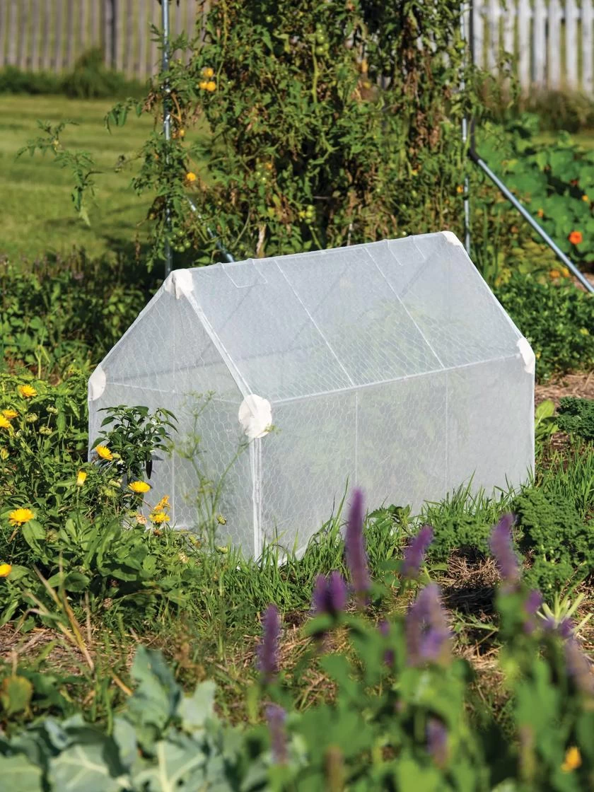 Crop Coop Covers Set - Image 2