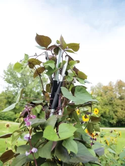 DIY Connector For Teepee Trellis