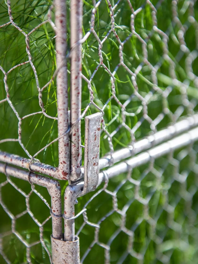 Chicken Wire Crop Coop Extension - Image 4