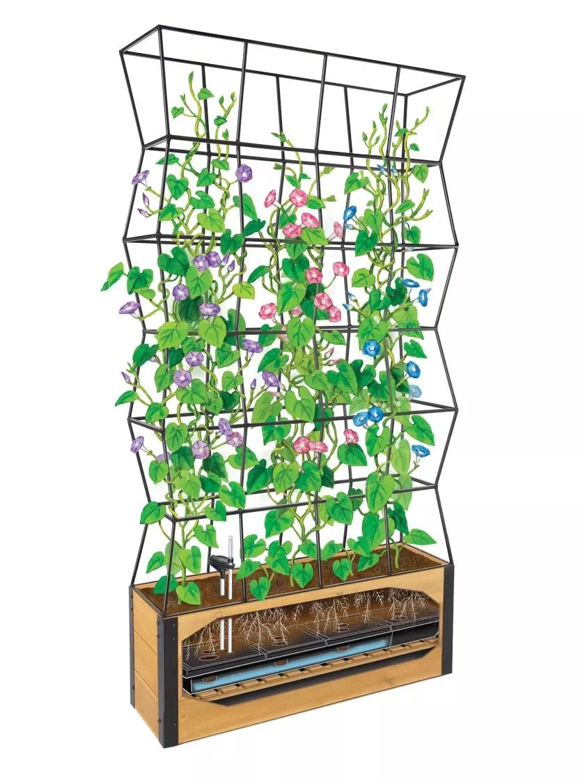 Self-Watering Partition Planter - Image 2
