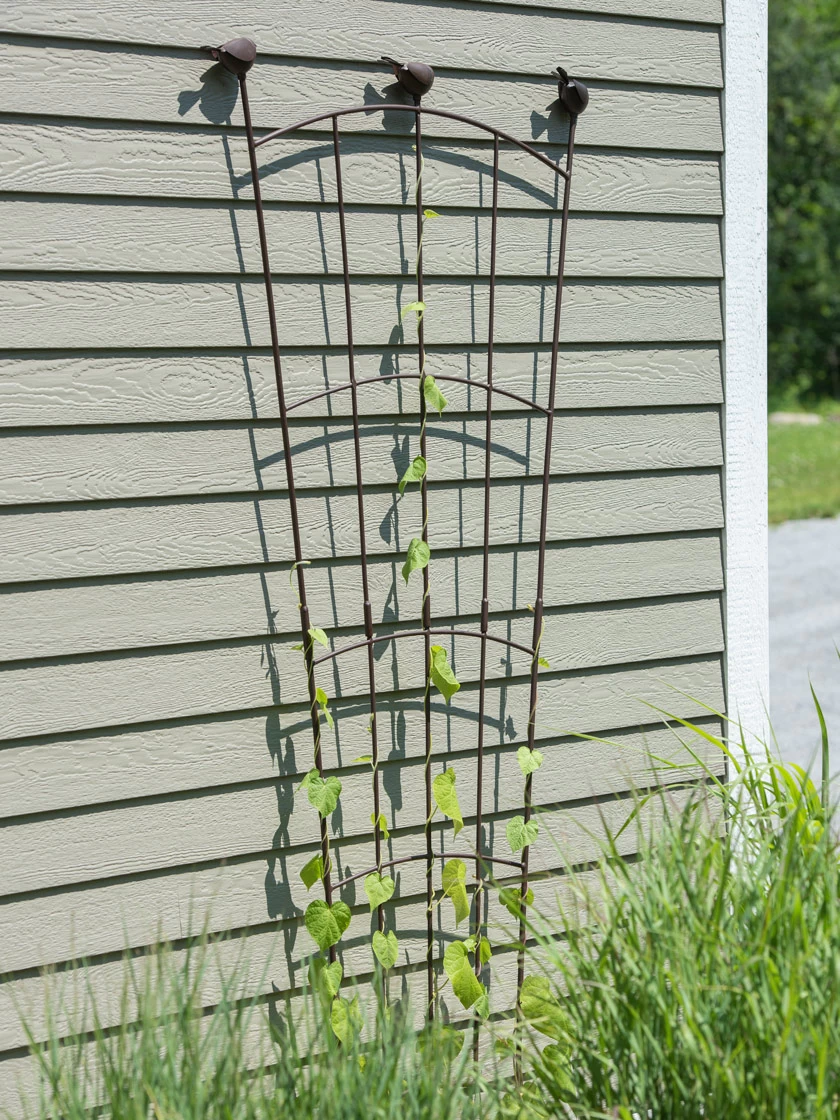 Flock Of Friends Wall Trellis - Image 4