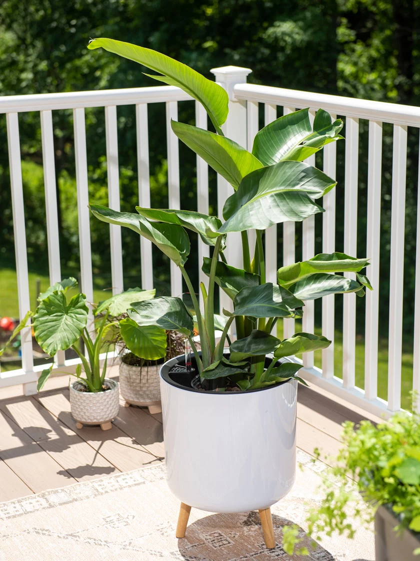 Ava Self-Watering Round Planter - Image 2