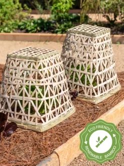 Bamboo Cloche, Set Of 2
