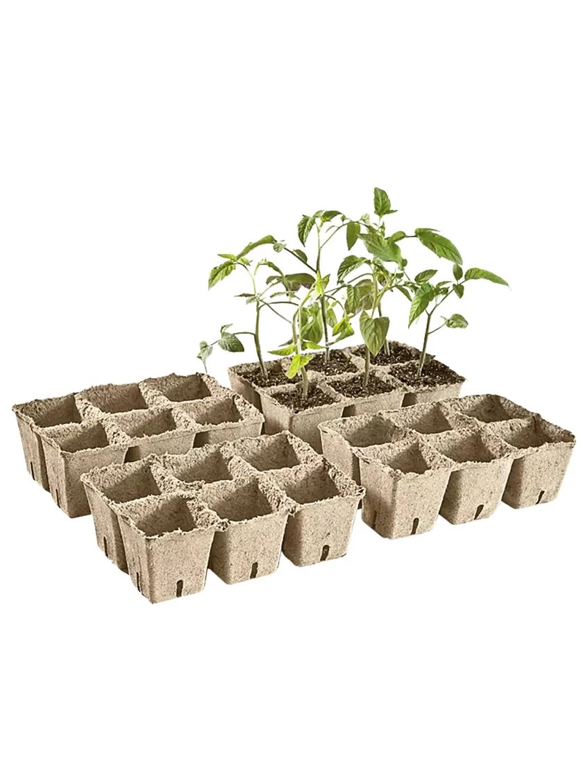 2-3/4" Square Cowpots 6-Packs, Set Of 4 - Image 2